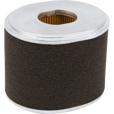 Filtre à air DONALDSON P607254GJ (1/2)
