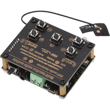 Récepteur Audio Bluetooth 5.0 pour Haut-parleur DIY, Transmission Sans Fil Haute Fidélité