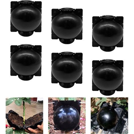 Boule d'enracinement de plantes, boîte de plantation de racines de jardin, outils de plantation, diamètre 5cm 6 pièces/ensemble (1/5)
