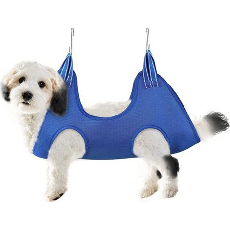 Krallenpflege-Set für Katzen und Hunde, kleines und mittelgroßes Pflege-Set für Katzen und Hunde – blau (1/5)