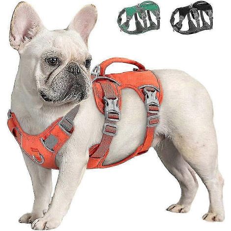 Filiyano-Harnais pour chien anti-traction et anti-fugue, gilet réfléchissant en nylon avec poignée, réglable - Orange soutien-gorge XS Tour de (1/5)