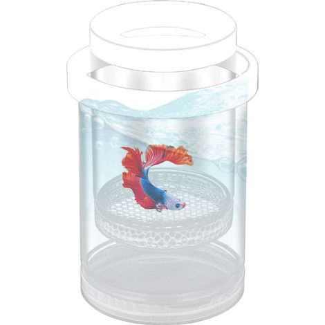 Tanque de cría para acuarios, Tanque de cría transparente con red aislante para huevos, como bettas, guppies, peces payaso, etc, Verde (1/5)