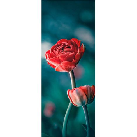Panneau mural douche en alu-composite VIPANEL - Inspiration Nature Décor Tulipe Rouge - Finition Brillant - 100x255cm (1/5)