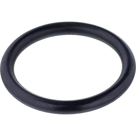O-ring 23,8x2,62 mm 70 shore nero Annovi Reverberi ANNOVI REVERBERI 550350