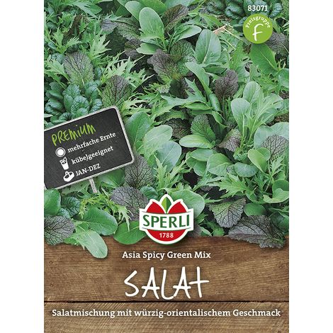 Sperli – Salades asiatiques Spicy Green Mix – Graines de légumes, mélange oriental, hauteur env. 15 cm (1/2)