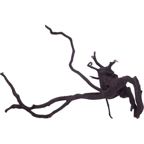 XL Black Spider Wurzel Nr.3722 Fingerwurzel Echtholz Deko Aquascaping