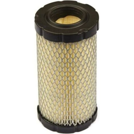 Geeignet für BRIGGS AND STRATTON Luftfilter 796031 (1/4)