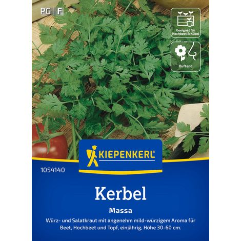 Kiepenkerl Saatgut Kerbel Massa für ca. 100 Pflanzen (1/2)