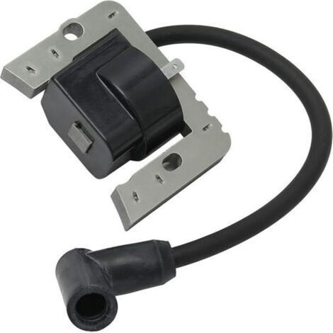 Bobine d'allumage, transformateur haute tension 36344A 37137 36344 Tecumseh OHV170 OHV175 (1/4)