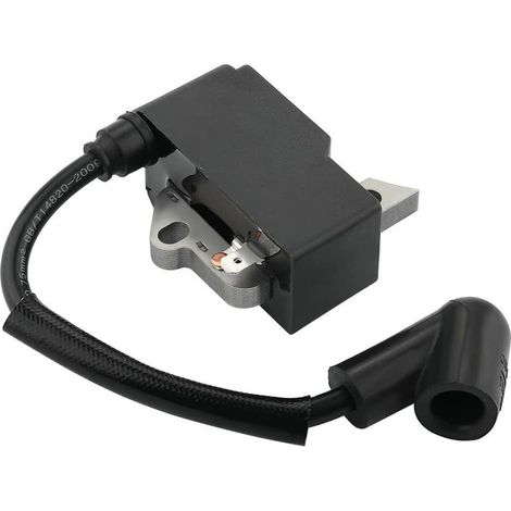 Bobina di accensione ad alta tensione per modelli di motore 125B 125BX 125BVX - ALTRO