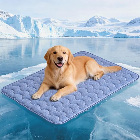 tapis rafraîchissant pour chien, tapis rafraîchissant double face pour animaux de compagnie, 100 x 70 cm, fibre de refroidissement  0,45, pour canapé et voiture, couverture (1/5)