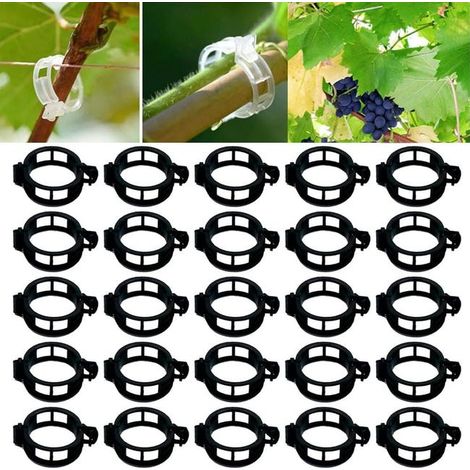 Clip di supporto per piante, clip per pomodori da giardino, clip di supporto per ortaggi, 100 pezzi neri (1/4)