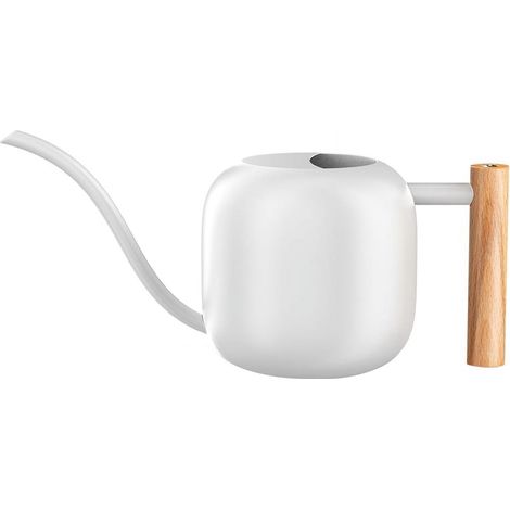 Arrosoir Métallique - 1,2 L - Bec Long - Pour Plantes D'intérieur Bonsaï Cactus - Blanc (1/5)