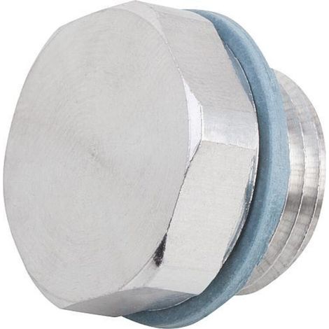 KIPP Verschlussschraube G3/4 SW34 Form C Aluminium blank (1/3)