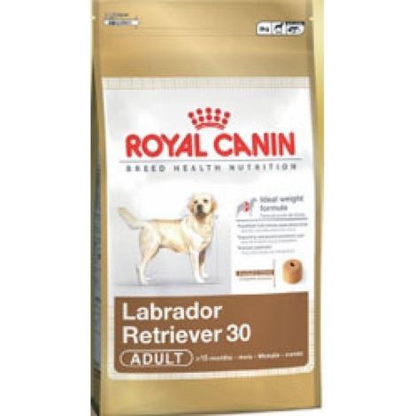 ROYAL CANIN Labrador Adulte - croquettes pour chien - 12 kg (1/3)