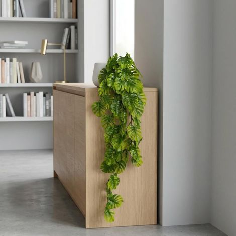 70cm Artificial Hanging Mini Monstera Botanik Plant Premium (1/3)