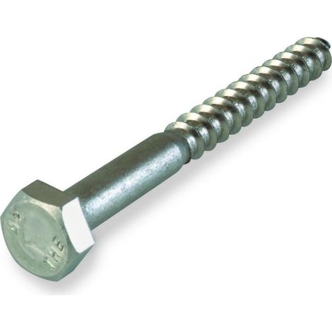 Tire-fond Inox A2-70 - Lot de 10 Vis - Acier Inoxydable DIN 571 - Fixation Lourde Bois Métal - Pour Charpente et Terrasse - 10 x 60 mm