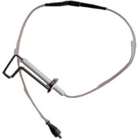 Electrodo encendido ionizacion Mynute Low Nox 24