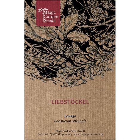 Livèche (Levisticum officinale) env. 100 semences (1/5)