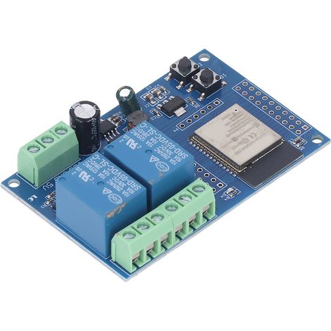 Module relais double 4 Mo mémoire flash boutons programmables 5-60V CC pour apprentissage dev secondaire (1/5)