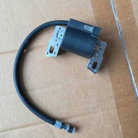 Allumage Briggs & Stratton 590455 792631 793354 Allumeur haute tension, bobine d'allumage, convient aux moteurs Briggs & Stratton. (1/3)