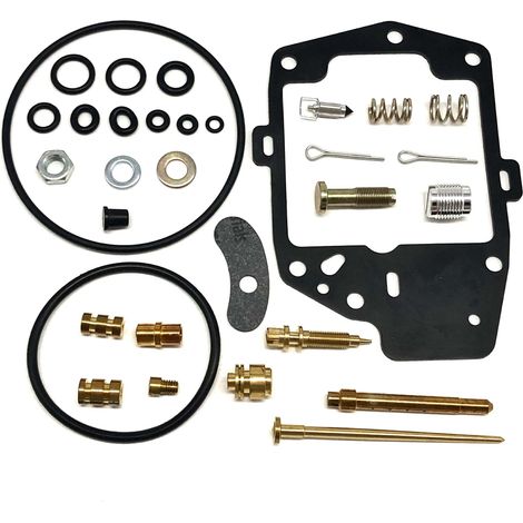 Kit orf réforrtiorn ctorrburtorteur - cormptortibgivthere GL1100 - F256 (1/4)