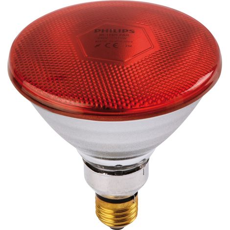 Philips – Ampoule infrarouge 100W pour animaux – Verre dur pour environnements difficiles – Chaleur directe sans courant d'air – Durée de vie 5000 heures