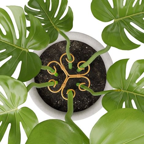 Lot de 4 tuteurs en fer pour plantes Monstera, tuteurs pour plantes d'intérieur au design unique pour favoriser la croissance des plantes (1/5)