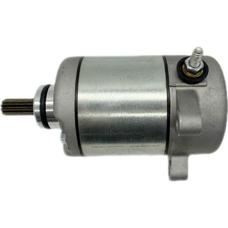 Starter motor 31200-HM8-003, motorcycle accessory compatible with TRX250TM