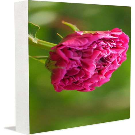 Cadeaux commémoratifs, cadeaux humoristiques pour collègues étudiants : plaque en bois pour la Saint-Valentin, la fête des Mères, un anniversaire. (1/5)