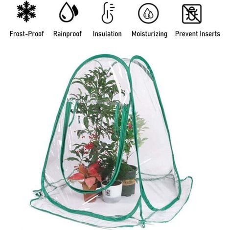 Mini-Pop-Up-Gewächshaus für Pflanzen, PVC-Gartengewächshäuser, Blumenschutz, Regenschutz für den Garten, Frostschutzzelt für Pflanzen im Freien, Veranda - Crezuo