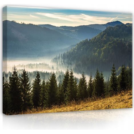 toile montagnes paysage nature fort 100x70 (1/3)
