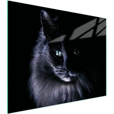 TAGLIERE IN VETRO 52x40 CAT (1/5)