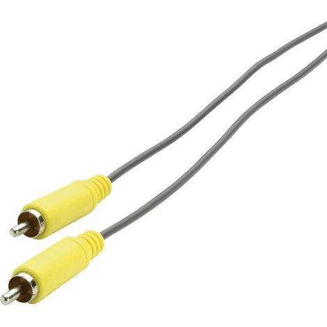 SpeaKa Professional SP-1300788 Cinch-Digital Digital-Audio Anschlusskabel [1x Cinch-Stecker - 1x Cin