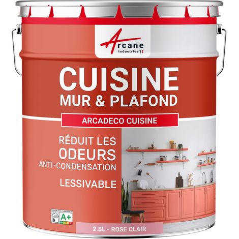 Peinture cuisine, lessivable, absorbe les odeurs - 2.5 L Rose Clair - RAL 3015 - ARCANE INDUSTRIES