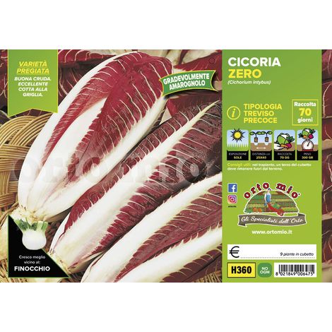 ORTO MIO Radicchio Rosso di Treviso (1/3)