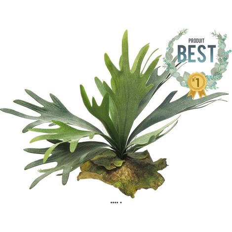 Fougère Platycerium factice sr socle imitation mousse H27cm D35cm-BEST - dimhaut: H 27 cm - couleur: Vert (1/3)