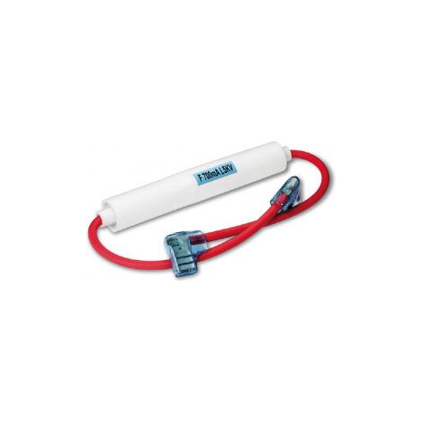 E3/62991 FUSIBLE PARA MICROONDAS 6X42MM 700MA/5KV