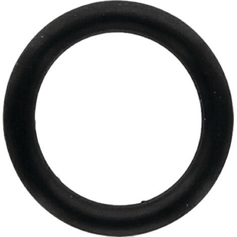 Joint torique de poussoir MF 195561M1 85215040