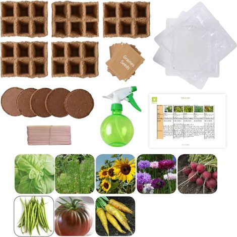 Potager d'une classe - 50 sachets de graines biologiques pour l'école
