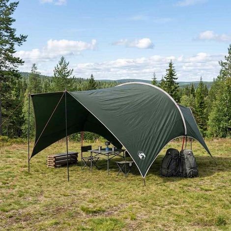 Tarp de Camping Bâche d'Abri Imperméable Polyester Vert Armée 550 x 400 x 230 cm - PANGIVO (1/5)