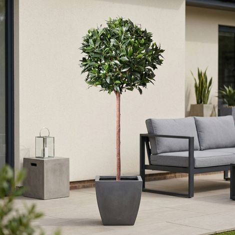 Lifelike Potted Bay Ball Foliage Tree (1/2)