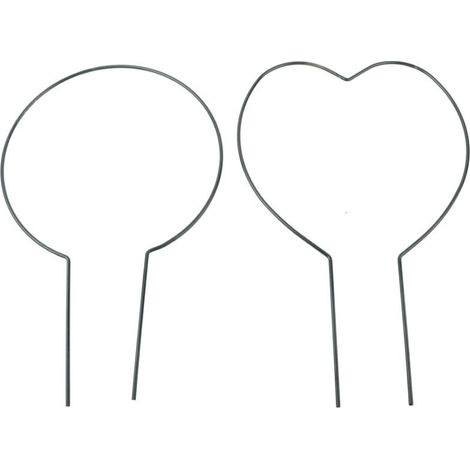 Supports de Vigne pour Plantes Grimpantes et Potées Lot de 2 - Idéal pour Jardin et Balcon - Haute Qualité Durable-KZQ (1/5)