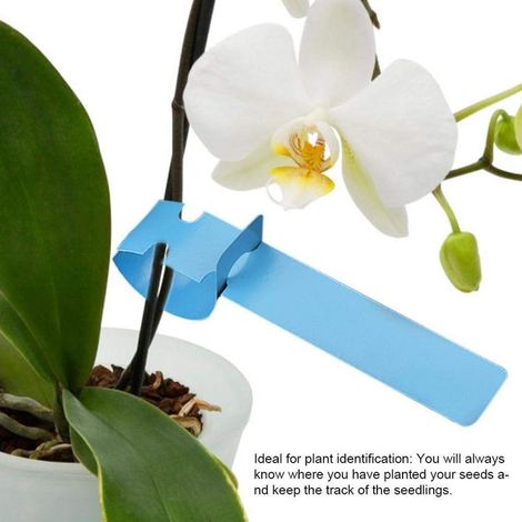 QAZQA 100pcs Étiquettes De Piquet En Plastique Étiquettes d'Usines Pelouse Ornement Décor De Jardin De Pépinière(Bleu) (1/5)