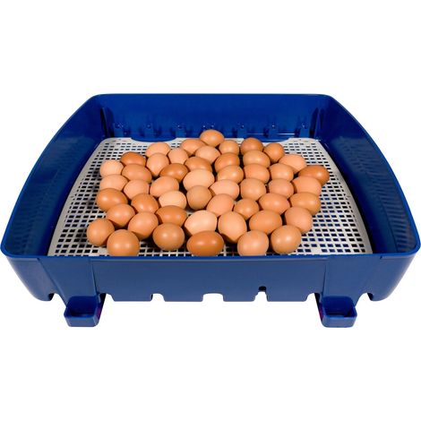 Incubatrice per Uova Semi Automatica Professionale Borotto Real 49 (1/5)