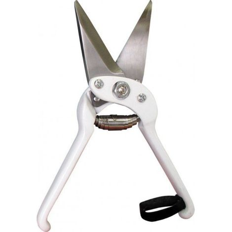 Tipi di Zaa Super Slisa