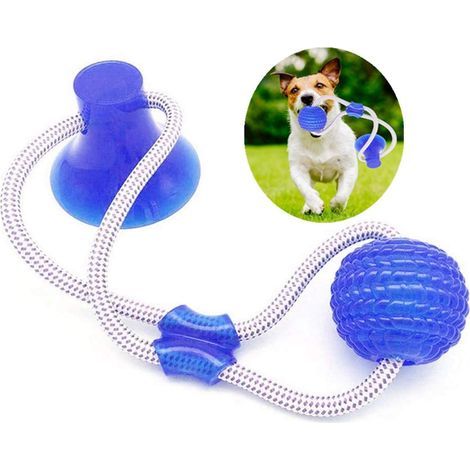 Pet Molar Bite Toy ,Balle avec Ventouse Jouet pour Chien Balle et Ventouse Multifonction Animal de Compagnie Molaire Jouet molaire Multifonction pour Chien Jouet Chien Ventouse (Bleu, 1 pcs)- (1/4)