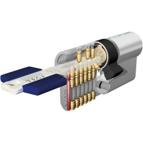 Serrure à larder monopoint 2210 pour profilés métalliques, finition inox, sans cylindre, entrée 25 mm