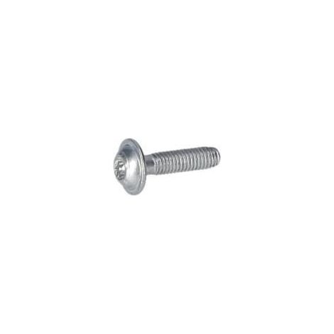 Vis a tete bombee torx pour Marteau perforateur BOSCH OUTILLAGES - 160343000V