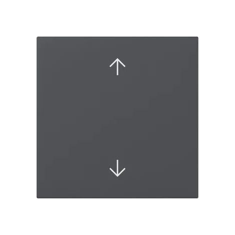 Gira Wippe Pfeile System 55 Anthrazit [361628], 3616 28